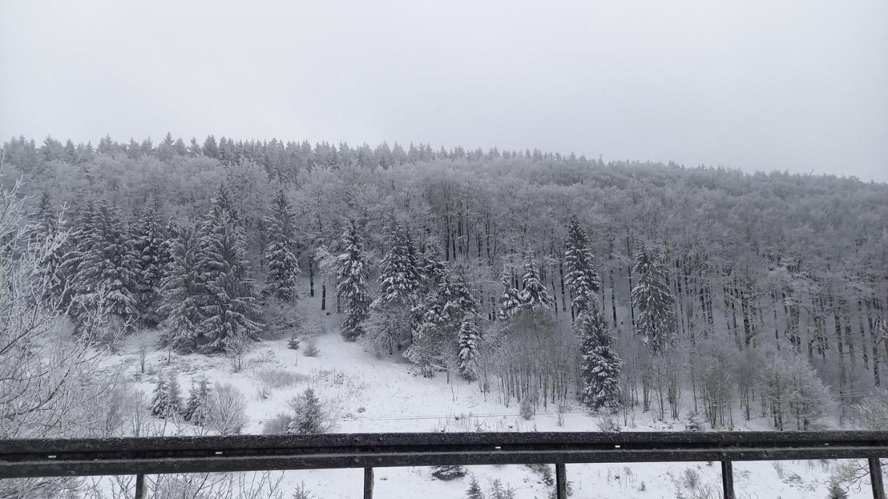 Monteur- Und Ferienwohnung Waldrauschen Fehrenbach المظهر الخارجي الصورة