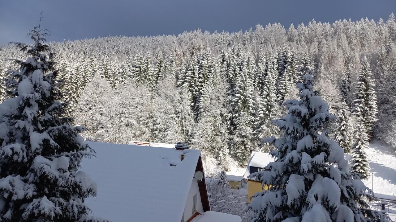 Monteur- Und Ferienwohnung Waldrauschen Fehrenbach المظهر الخارجي الصورة
