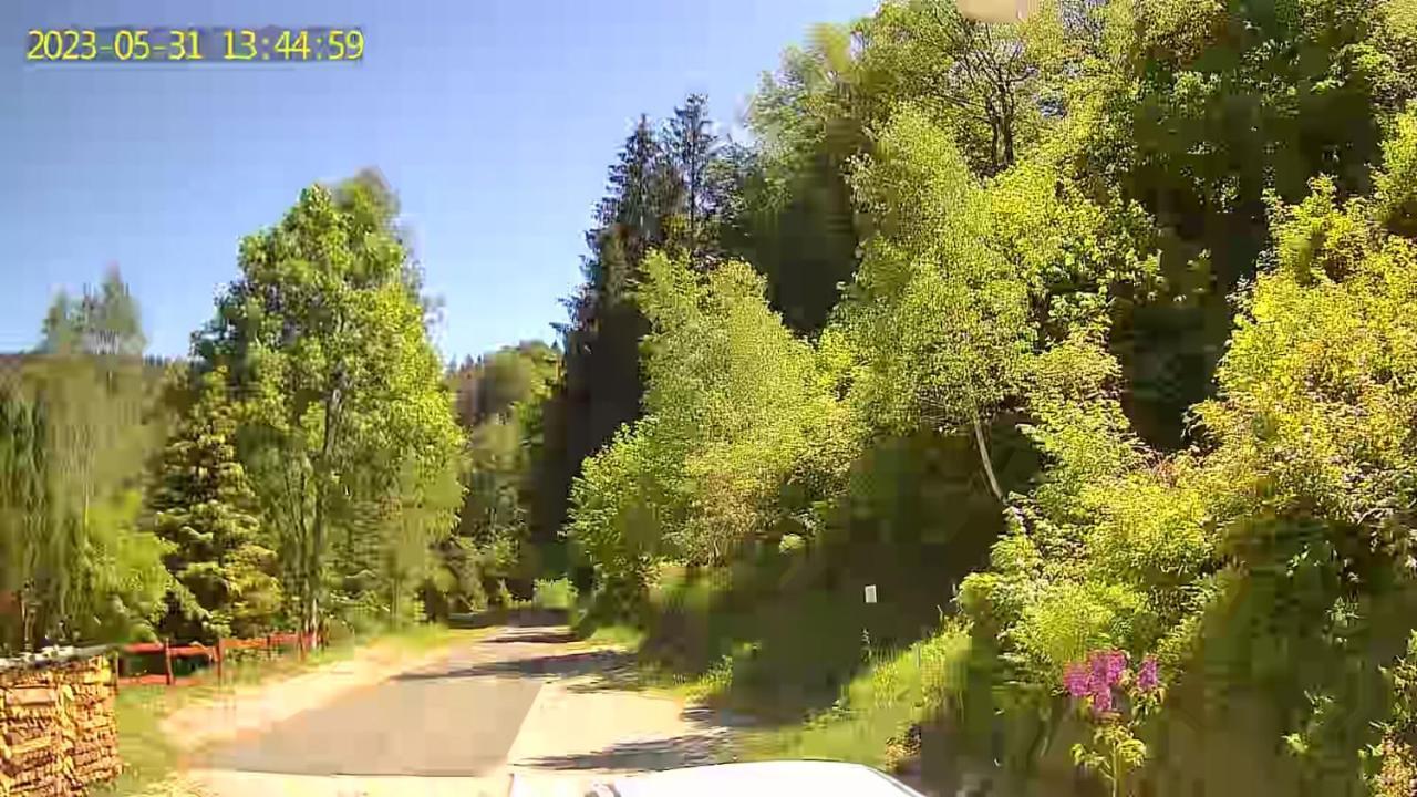Monteur- Und Ferienwohnung Waldrauschen Fehrenbach المظهر الخارجي الصورة