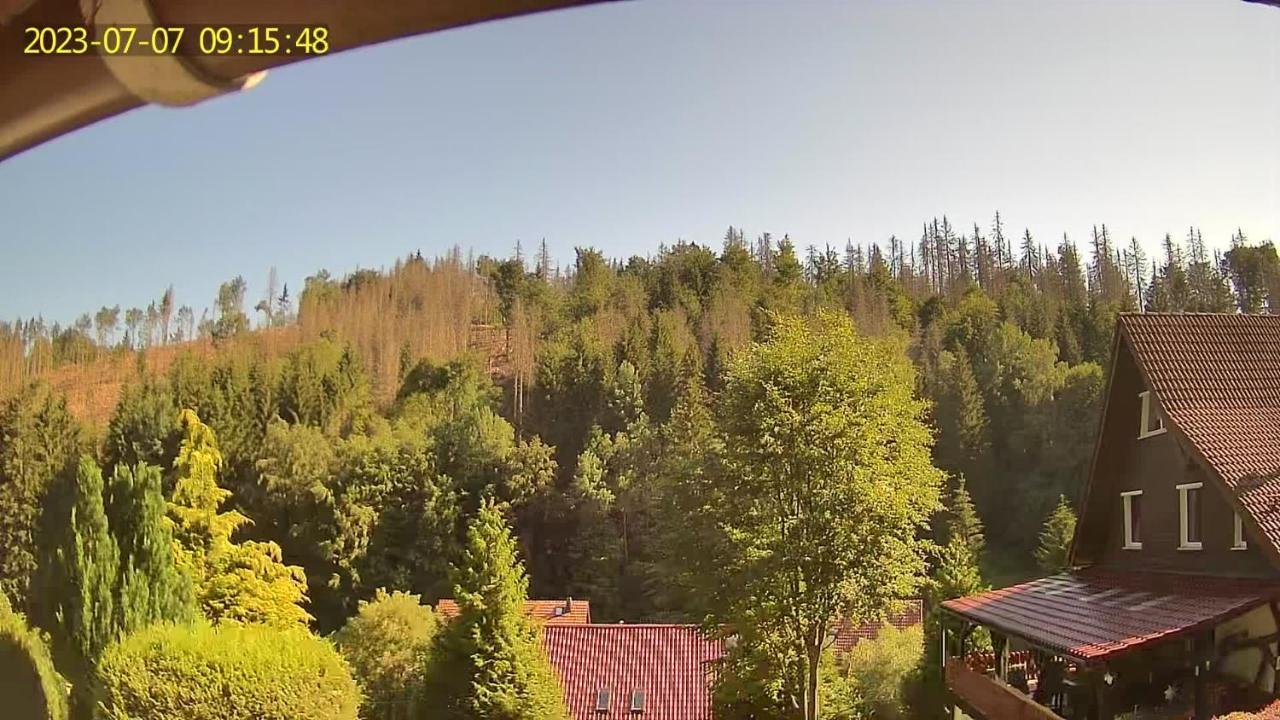 Monteur- Und Ferienwohnung Waldrauschen Fehrenbach المظهر الخارجي الصورة