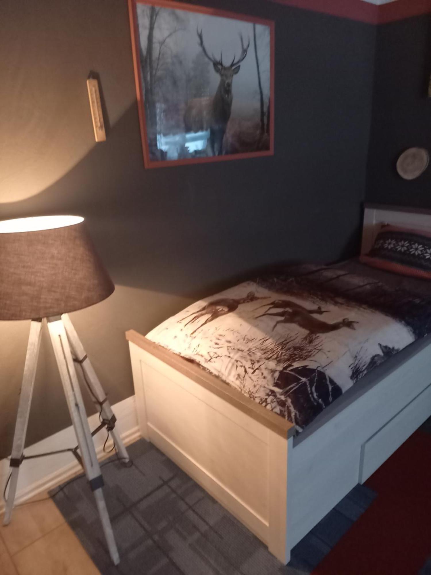 Monteur- Und Ferienwohnung Waldrauschen Fehrenbach المظهر الخارجي الصورة