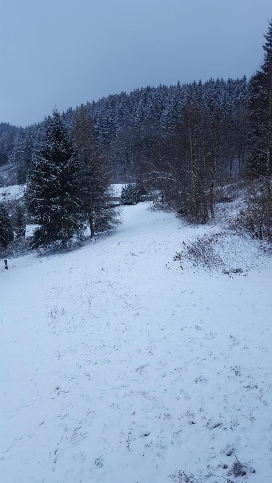 Monteur- Und Ferienwohnung Waldrauschen Fehrenbach الغرفة الصورة