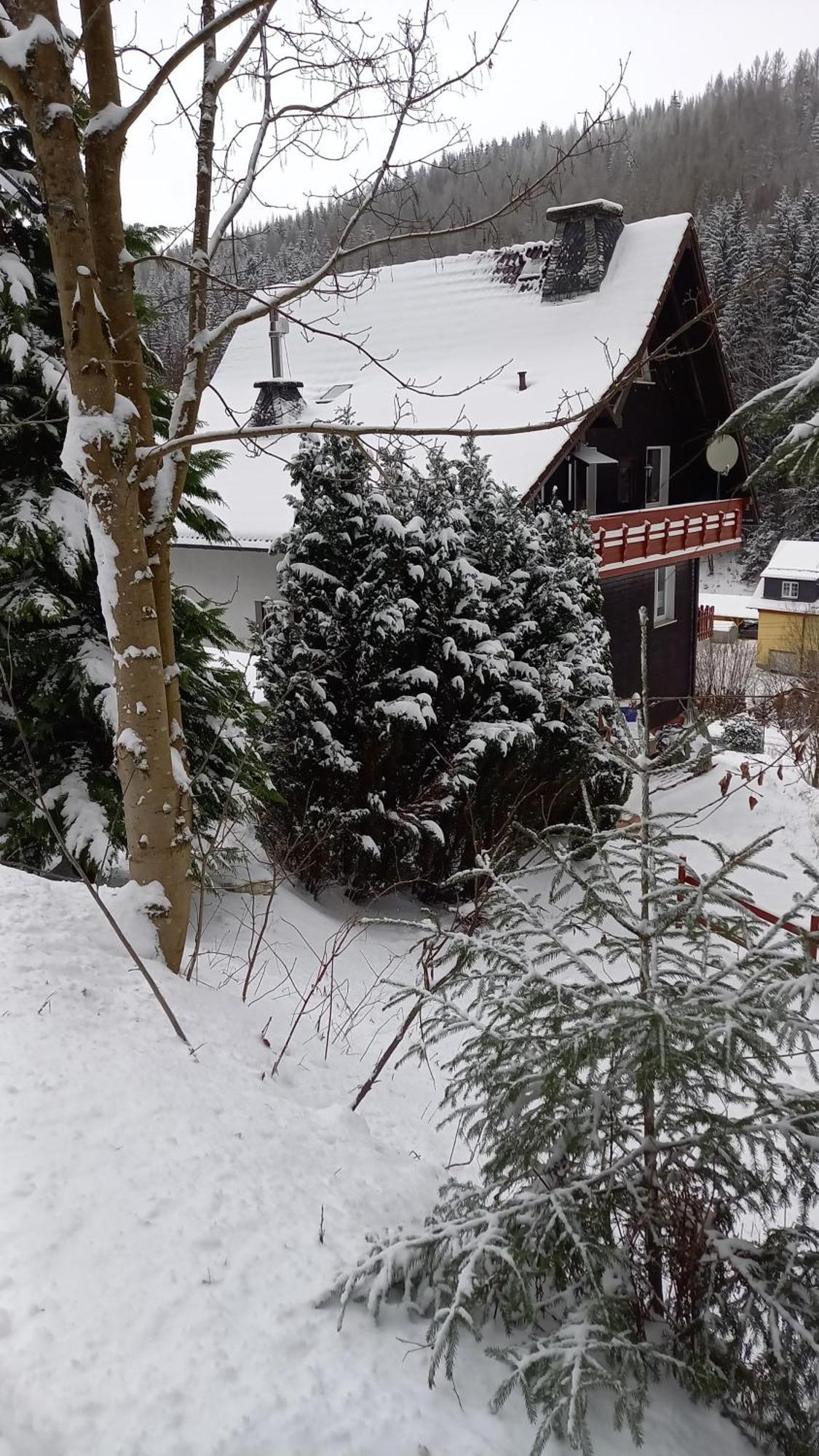 Monteur- Und Ferienwohnung Waldrauschen Fehrenbach الغرفة الصورة