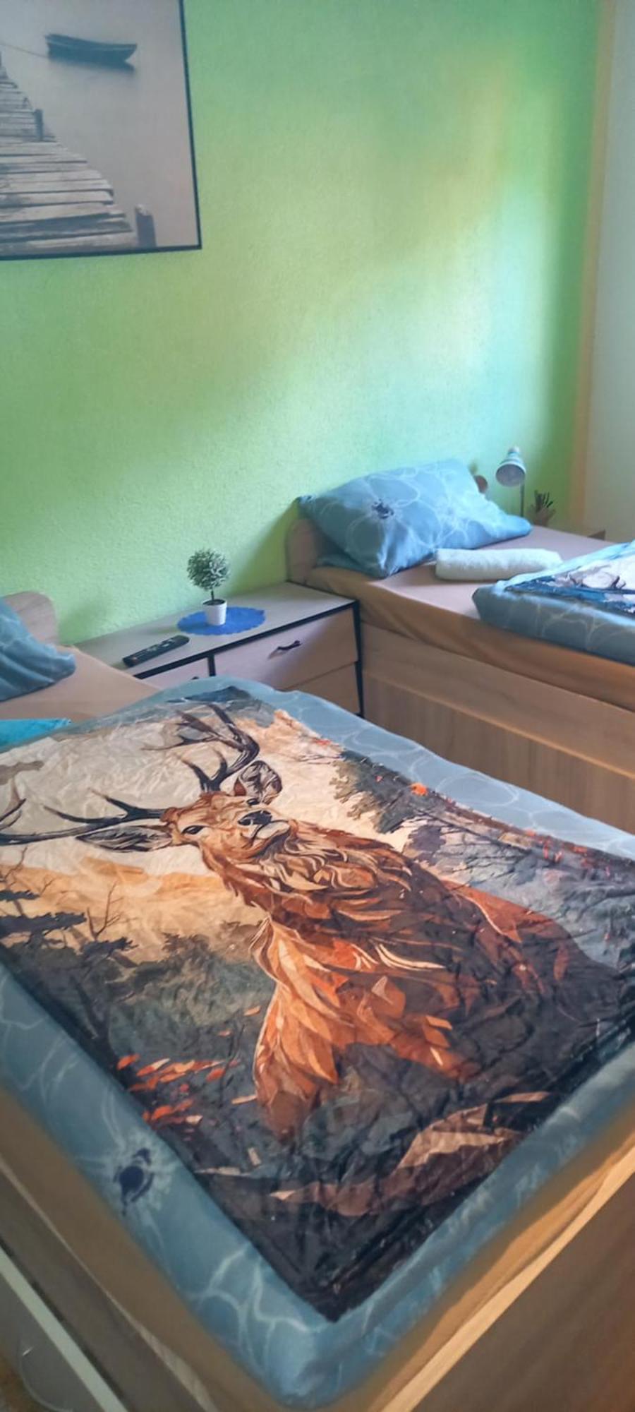 Monteur- Und Ferienwohnung Waldrauschen Fehrenbach المظهر الخارجي الصورة