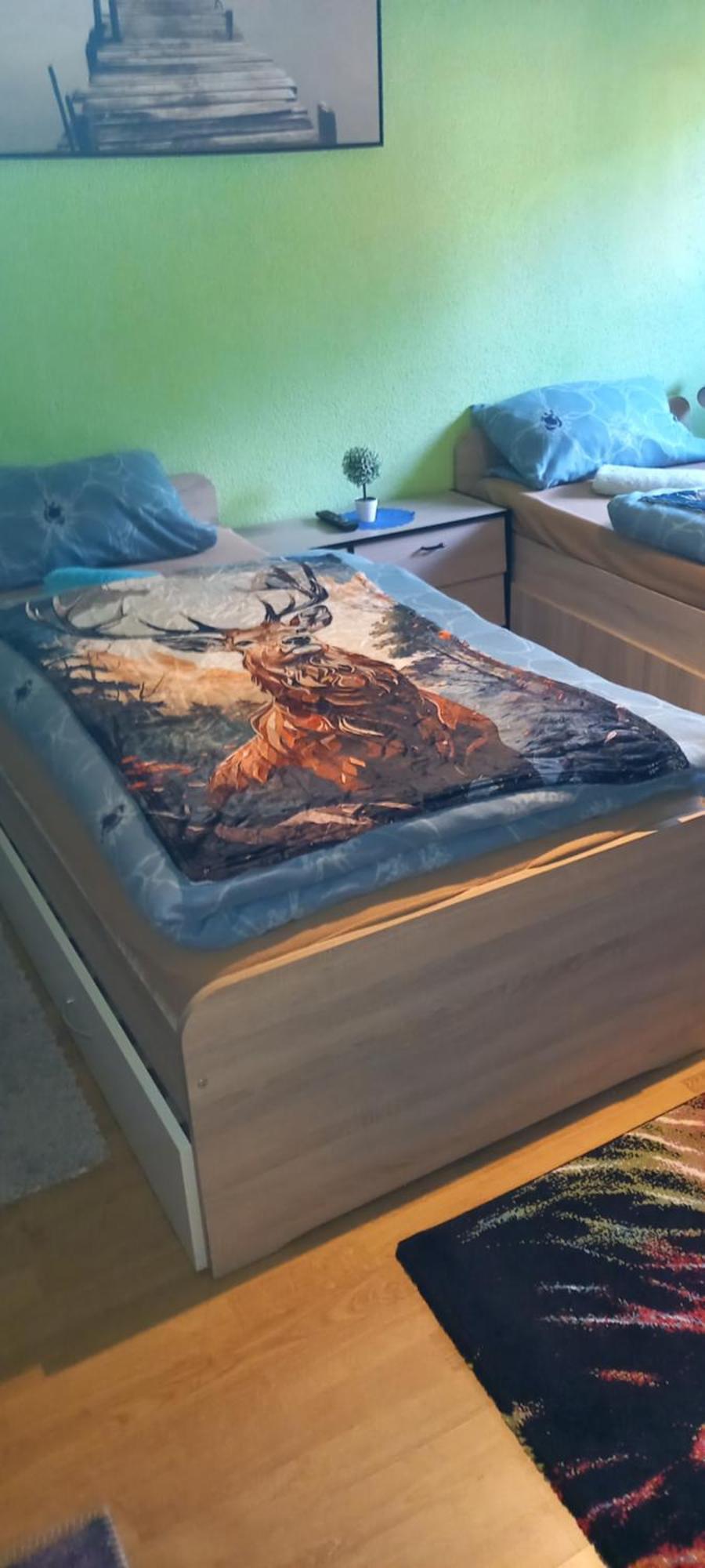 Monteur- Und Ferienwohnung Waldrauschen Fehrenbach المظهر الخارجي الصورة