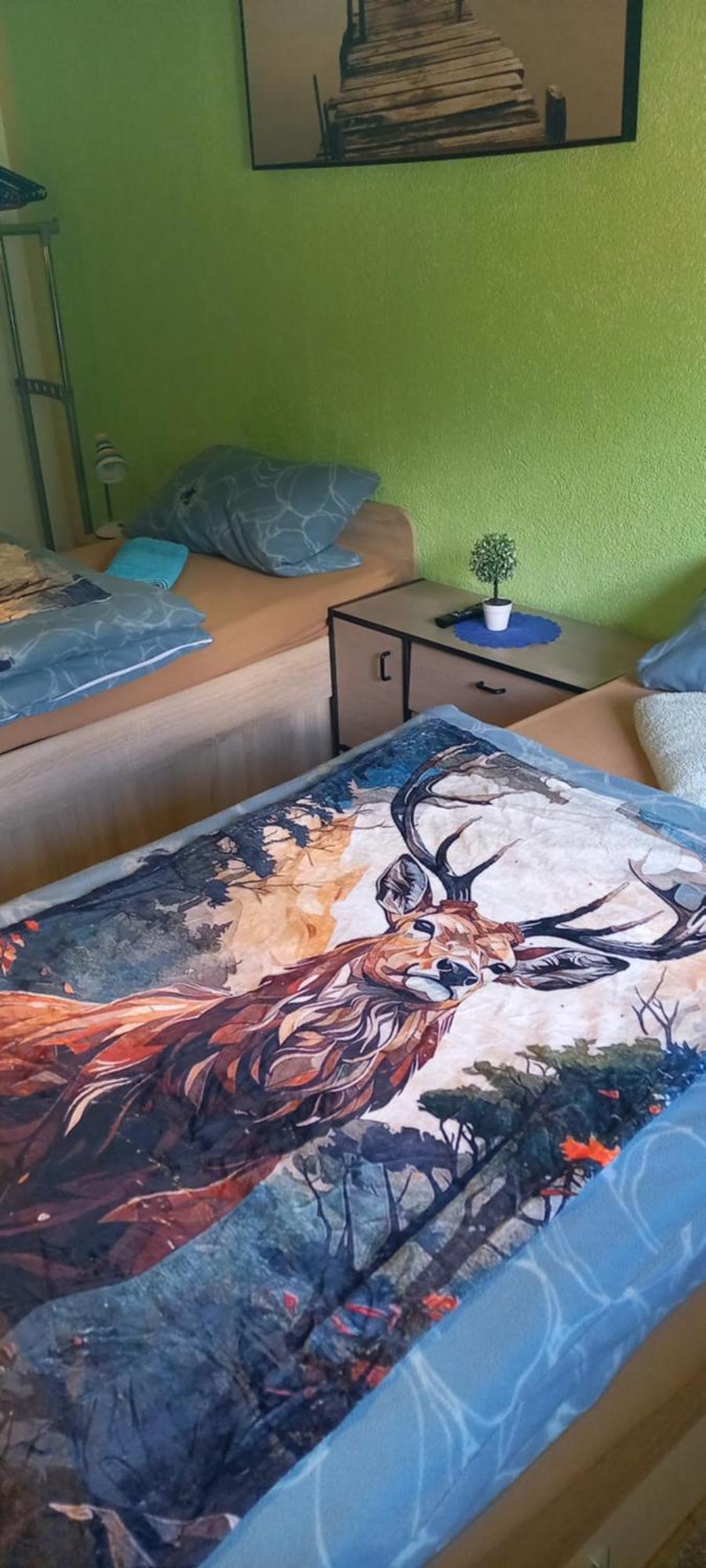 Monteur- Und Ferienwohnung Waldrauschen Fehrenbach المظهر الخارجي الصورة