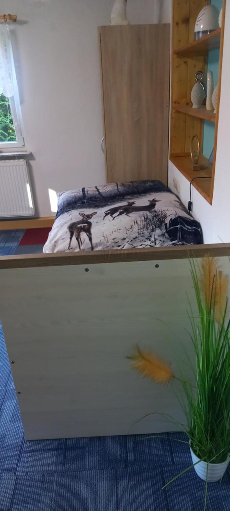 Monteur- Und Ferienwohnung Waldrauschen Fehrenbach المظهر الخارجي الصورة